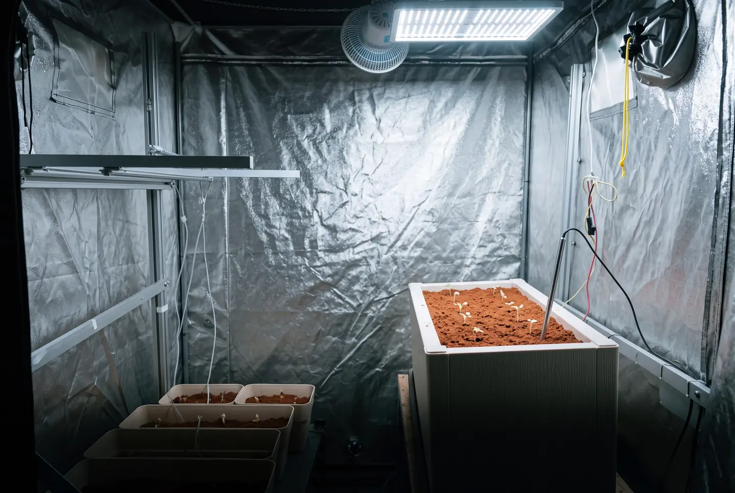 Ricostruzione: la growbox del laboratorio con una vasca di regolite rossa e i primi germogli