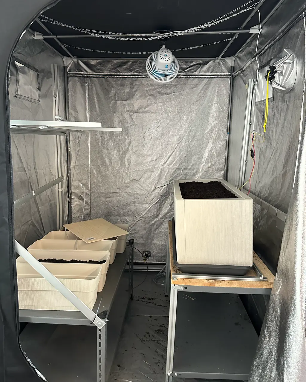 La growbox di Space con la vasca di terriccio