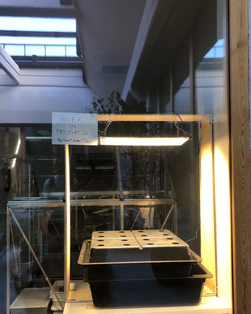 Il cartello l'abbiamo scritto a mano: la teca è pronta, la vasca aspetta le prime piantine.